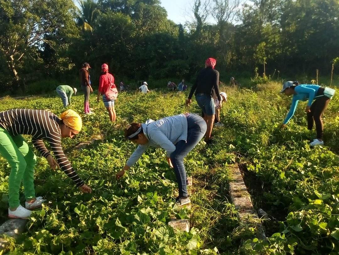 121107738 189808222667020 973141955789703737 o